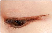 エレガンス　クリエイティブ リクイッド アイライナー BZ01