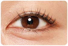 ディー アップ　ハイパーリフトマスカラネイビーブラック